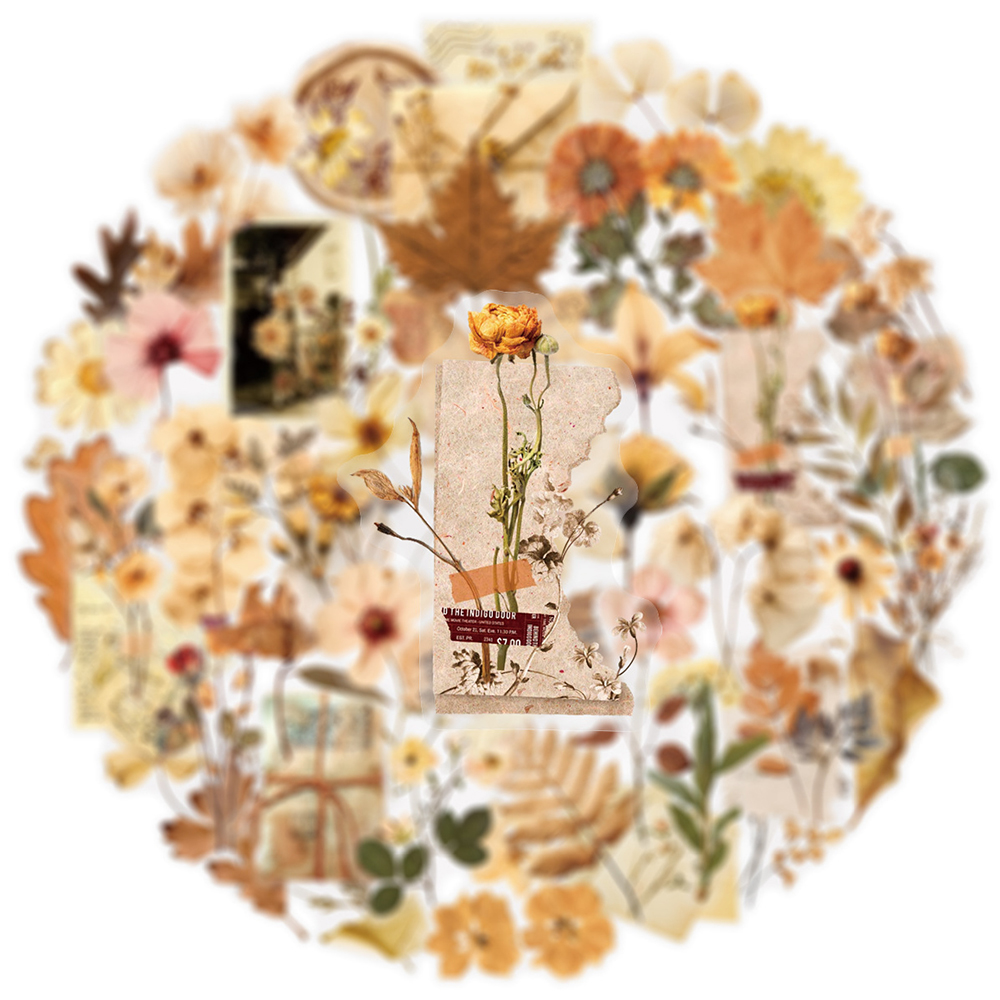 10/30/50pcs Transparent Dried  - Dried Flower Bulk บทวิจารณ์และราคา