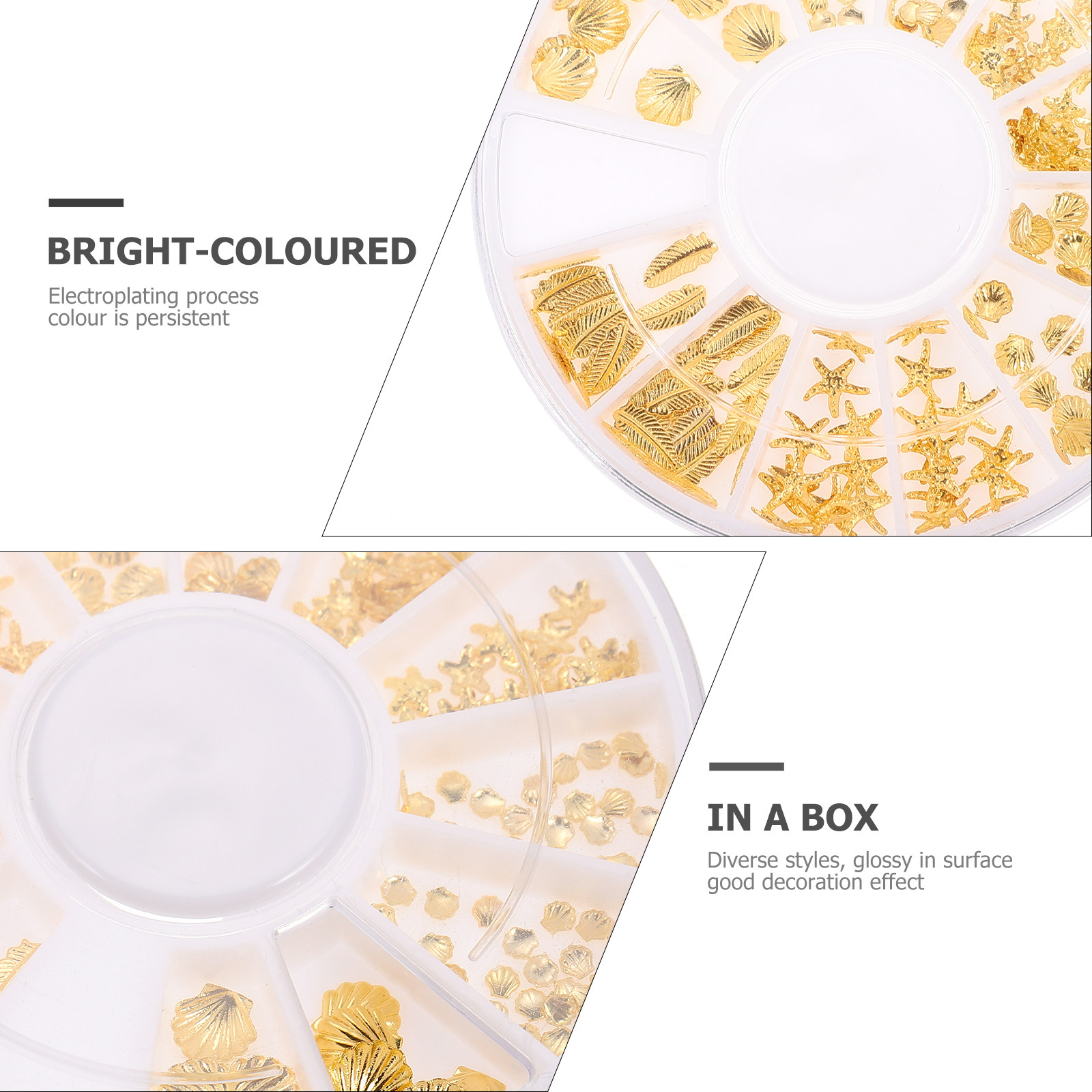 2 Boxes Seashells Resin Fillin - Resin Crafts Diy บทวิจารณ์และราคา