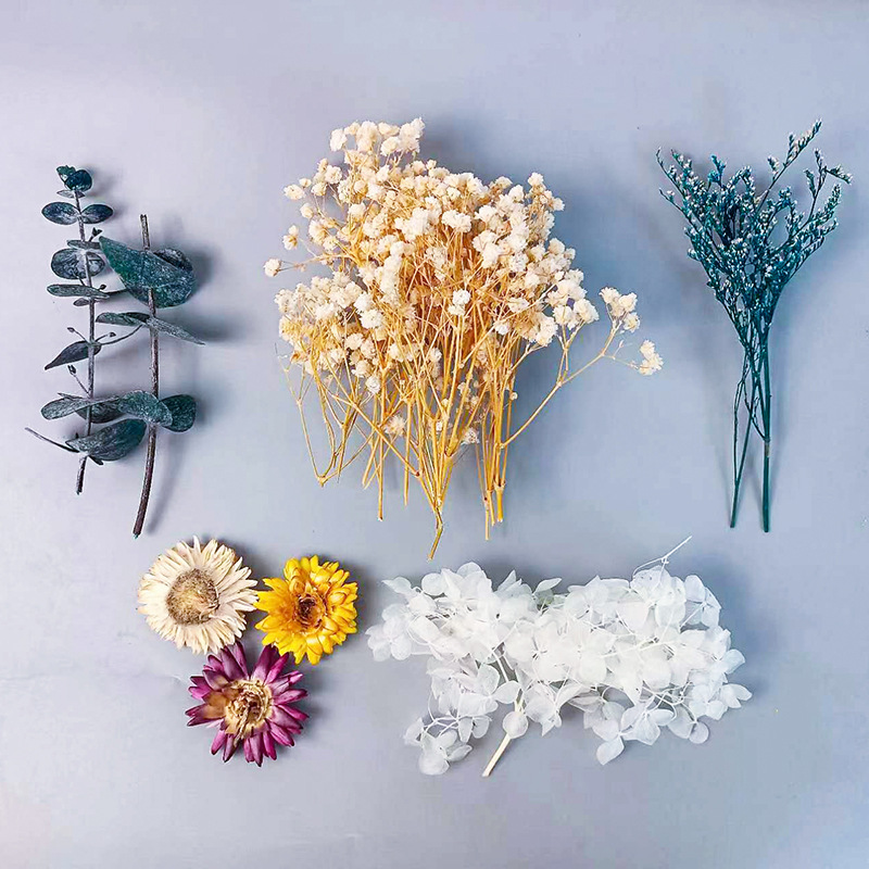 1pack Multifarious Dried Flowe - Dried Flower Bulk บทวิจารณ์และราคา