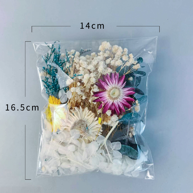 1pack Multifarious Dried Flowe - Dried Flower Bulk บทวิจารณ์และราคา