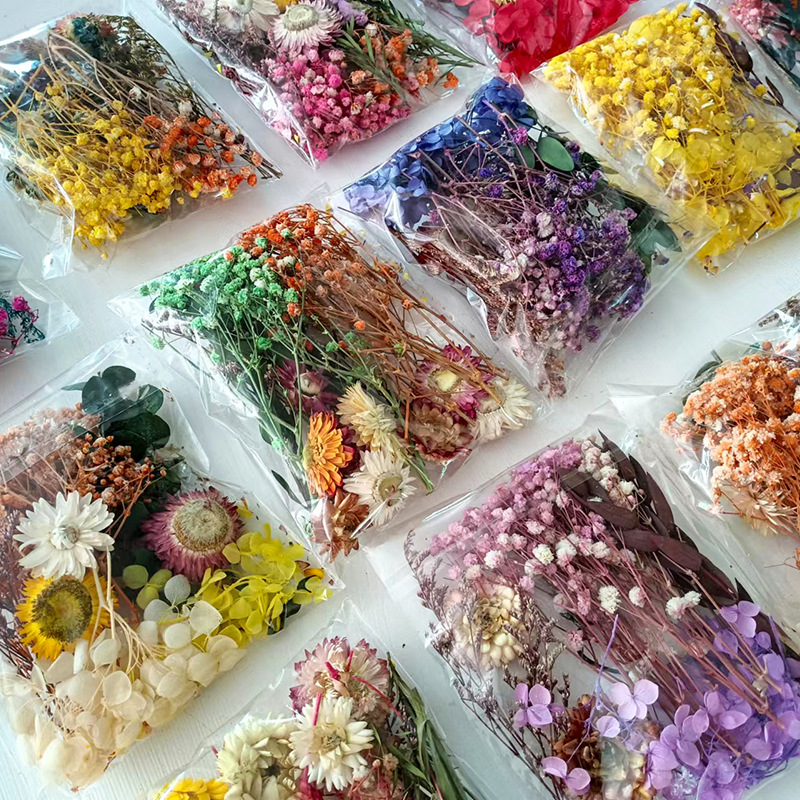 1pack Multifarious Dried Flowe - Dried Flower Bulk บทวิจารณ์และราคา