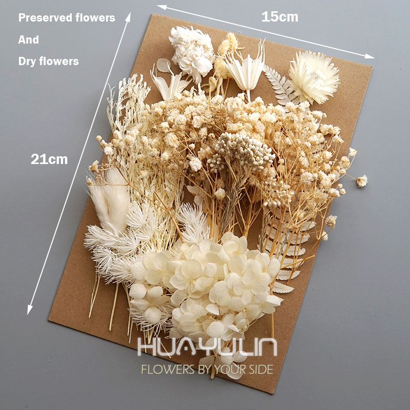 1 Pack Artificial Plants Dried - Dried Flower Bulk บทวิจารณ์และราคา
