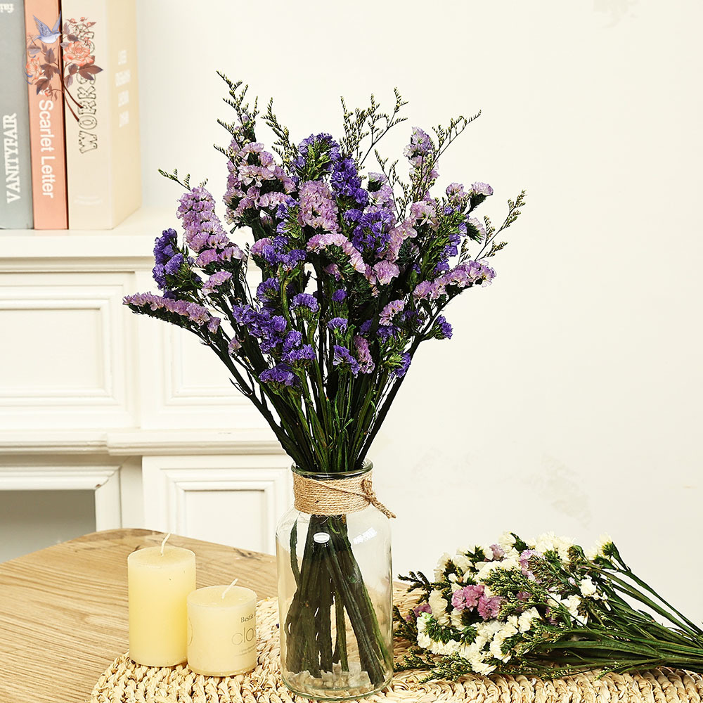 100g Natural Real Forget-me-no - Dried Flower Bulk บทวิจารณ์และราคา