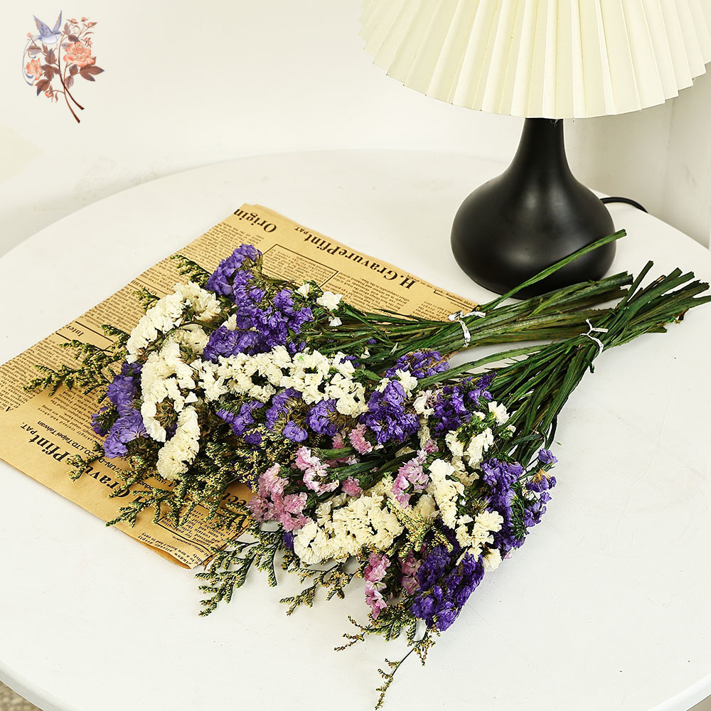 100g Natural Real Forget-me-no - Dried Flower Bulk บทวิจารณ์และราคา