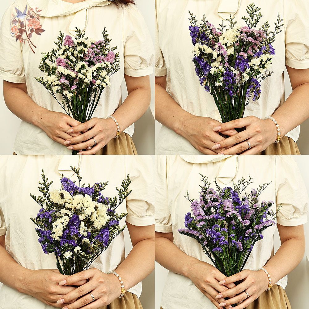 100g Natural Real Forget-me-no - Dried Flower Bulk บทวิจารณ์และราคา