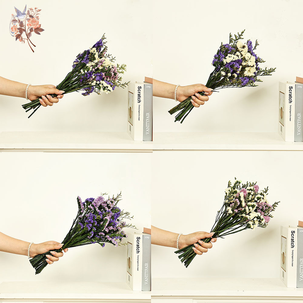 100g Natural Real Forget-me-no - Dried Flower Bulk บทวิจารณ์และราคา