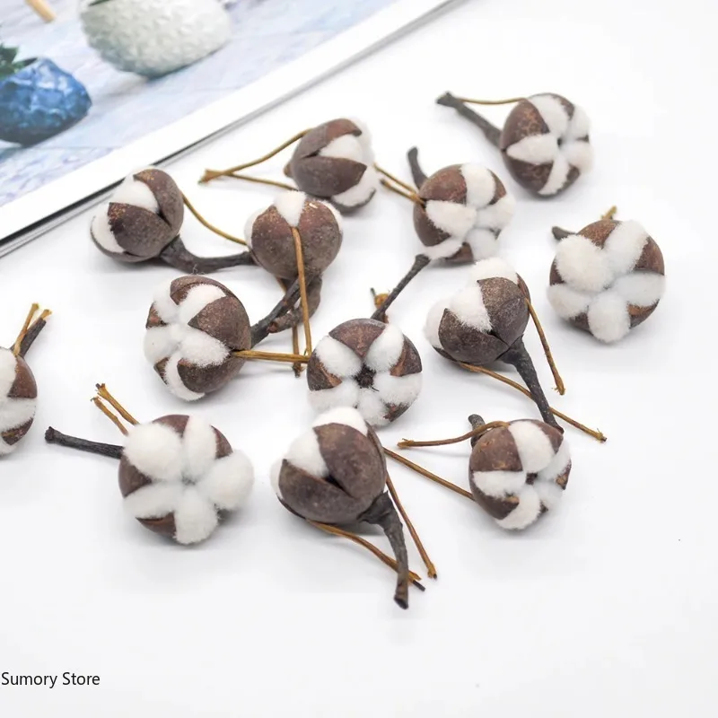 12 Artificial Kapok Natural Dr - Dried Flower Bulk บทวิจารณ์และราคา