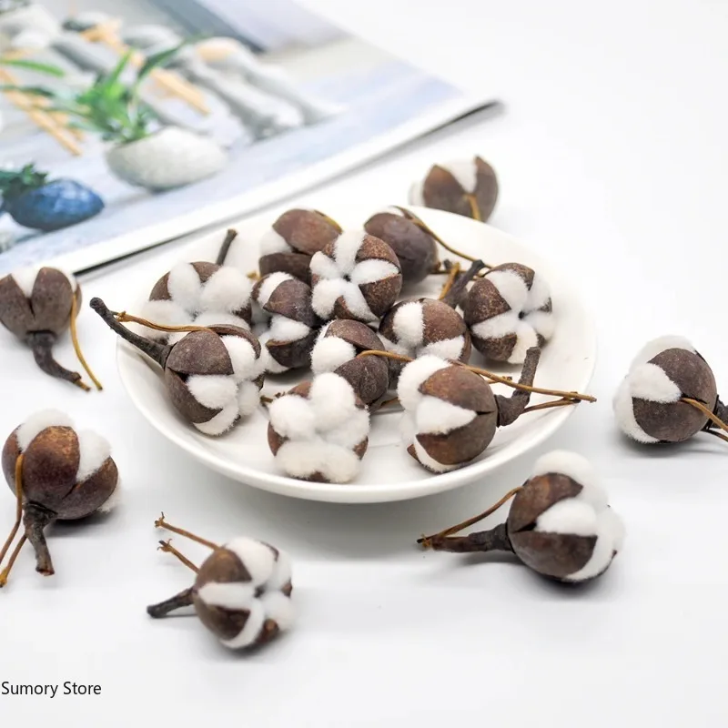 12 Artificial Kapok Natural Dr - Dried Flower Bulk บทวิจารณ์และราคา