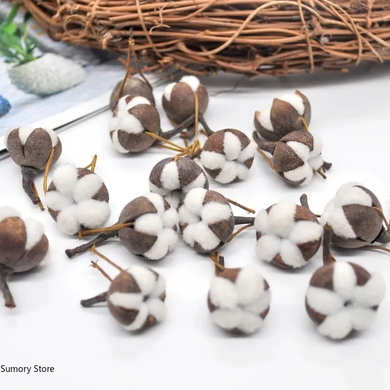 12 Artificial Kapok Natural Dr - Dried Flower Bulk บทวิจารณ์และราคา