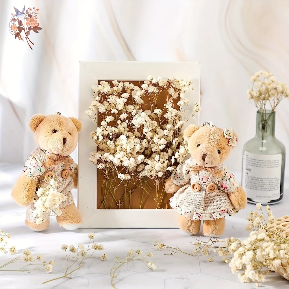 100pcs Mini Dried Baby's Breat - Dried Flower Bulk บทวิจารณ์และราคา